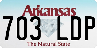 AR license plate 703LDP