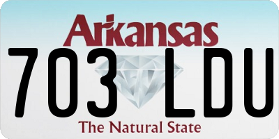 AR license plate 703LDU