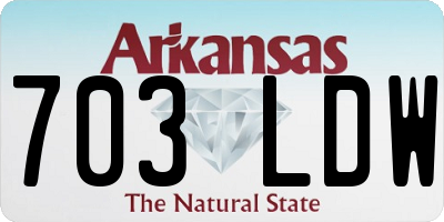 AR license plate 703LDW