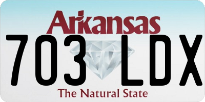 AR license plate 703LDX