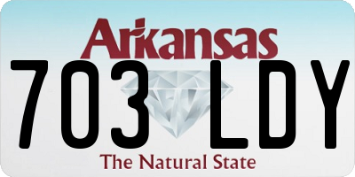 AR license plate 703LDY