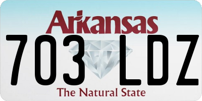 AR license plate 703LDZ