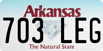 AR license plate 703LEG