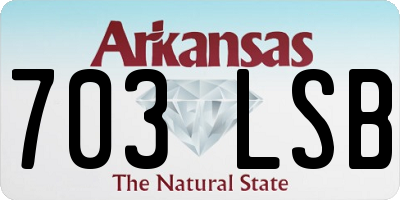 AR license plate 703LSB
