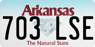 AR license plate 703LSE