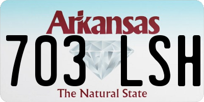 AR license plate 703LSH