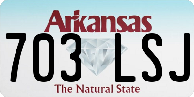 AR license plate 703LSJ