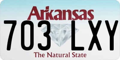 AR license plate 703LXY