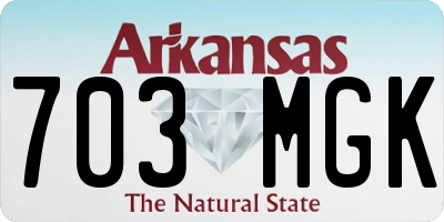 AR license plate 703MGK
