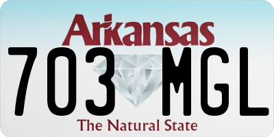 AR license plate 703MGL