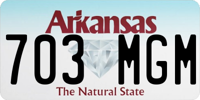 AR license plate 703MGM