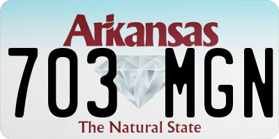AR license plate 703MGN