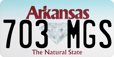 AR license plate 703MGS