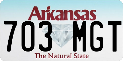 AR license plate 703MGT