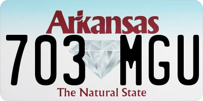 AR license plate 703MGU