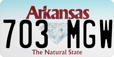 AR license plate 703MGW