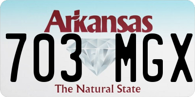 AR license plate 703MGX