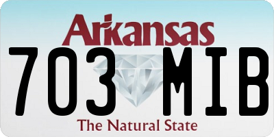 AR license plate 703MIB