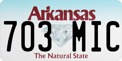 AR license plate 703MIC