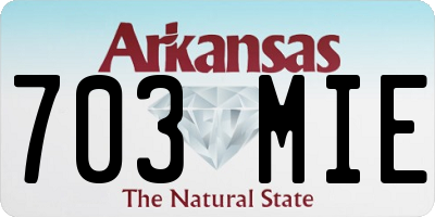 AR license plate 703MIE