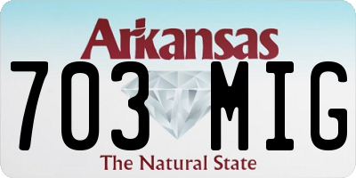 AR license plate 703MIG