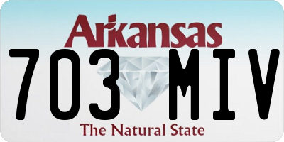 AR license plate 703MIV