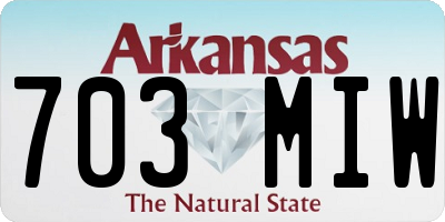 AR license plate 703MIW