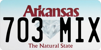 AR license plate 703MIX