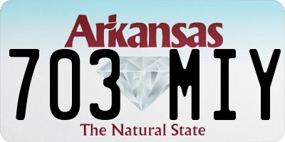 AR license plate 703MIY