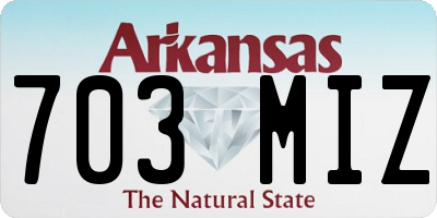 AR license plate 703MIZ