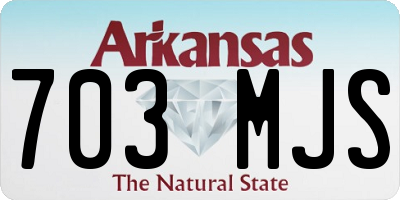 AR license plate 703MJS