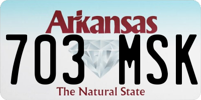 AR license plate 703MSK