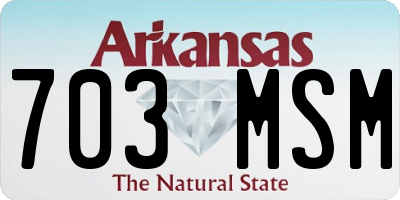 AR license plate 703MSM