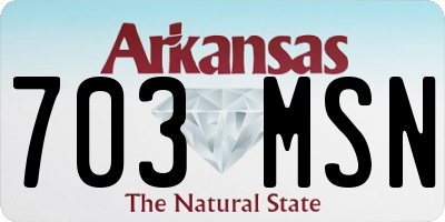 AR license plate 703MSN