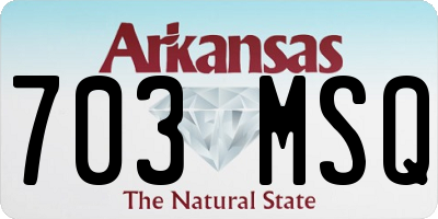 AR license plate 703MSQ