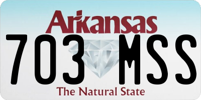 AR license plate 703MSS
