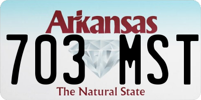 AR license plate 703MST