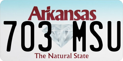 AR license plate 703MSU