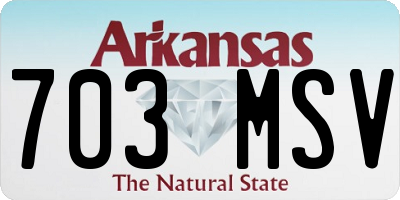 AR license plate 703MSV