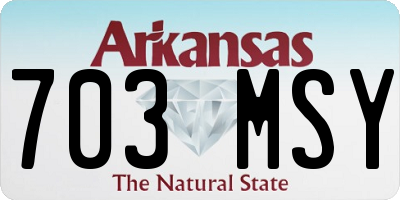 AR license plate 703MSY
