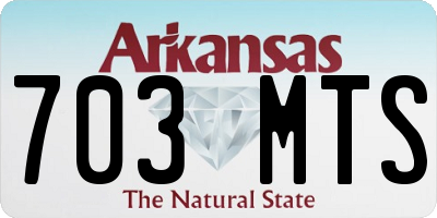 AR license plate 703MTS