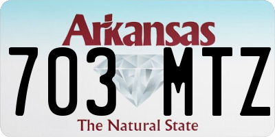 AR license plate 703MTZ