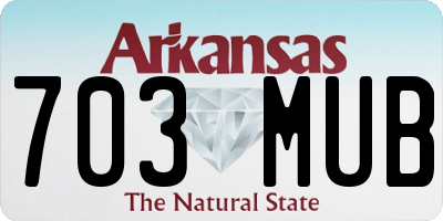 AR license plate 703MUB