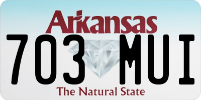 AR license plate 703MUI