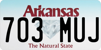 AR license plate 703MUJ