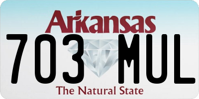 AR license plate 703MUL
