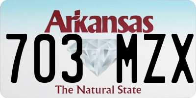 AR license plate 703MZX