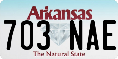 AR license plate 703NAE