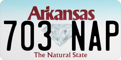 AR license plate 703NAP