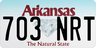 AR license plate 703NRT